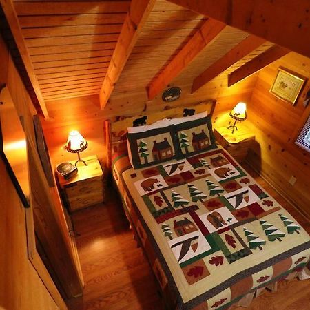 Cute Updated Mountain Cabin Fireplace #3 Helen Exterior foto